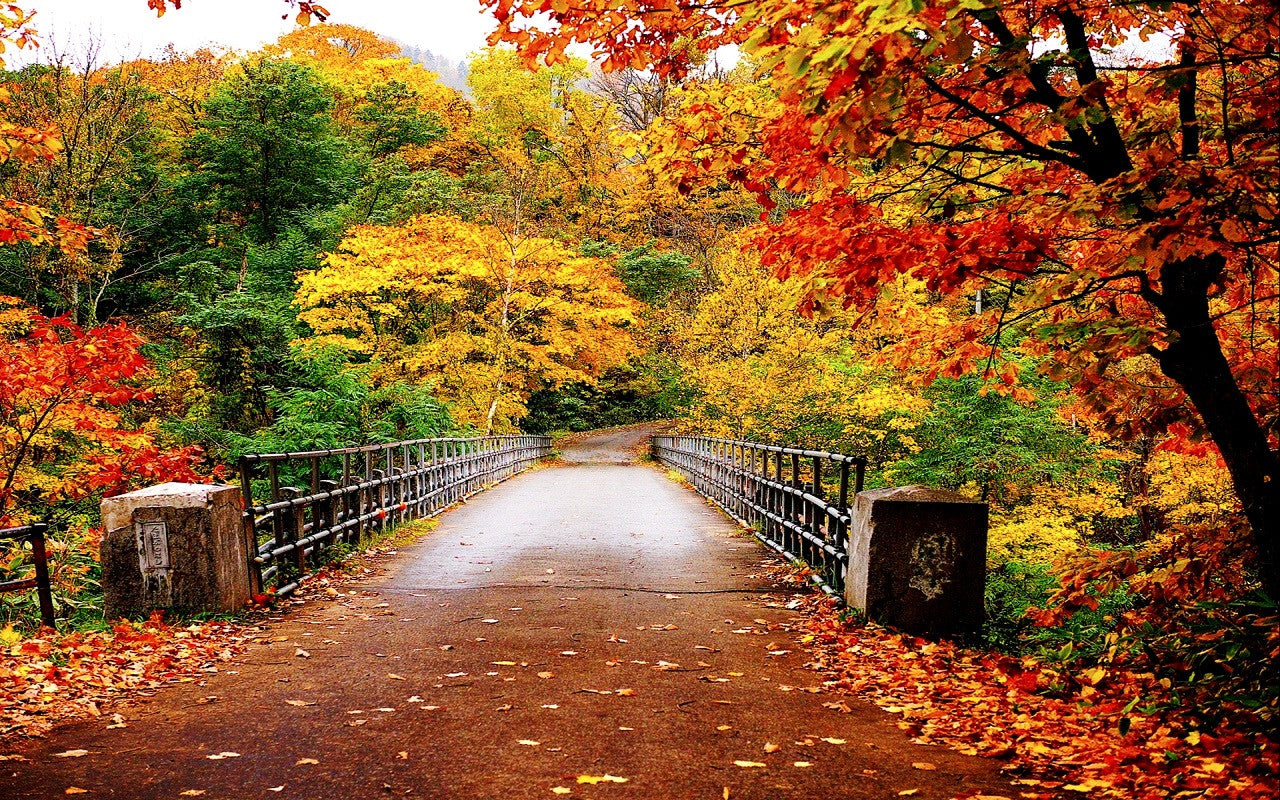 Where to travel in autumn?