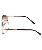 The Evasion Eyewear - Plata